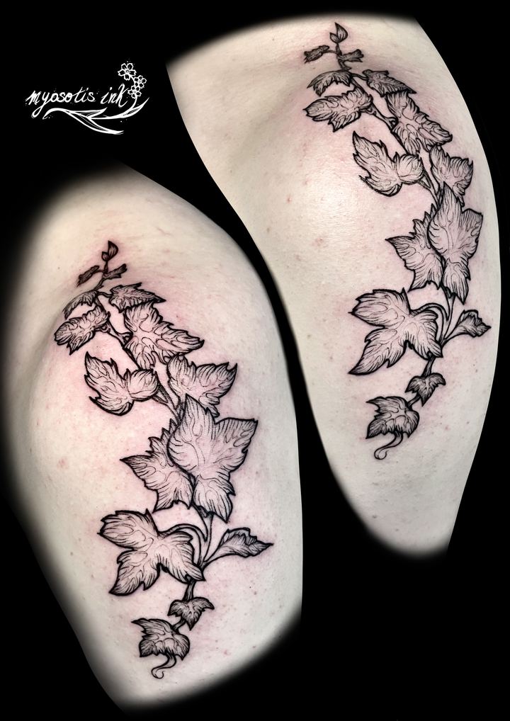 Tattoo von Luca: Efeuranken