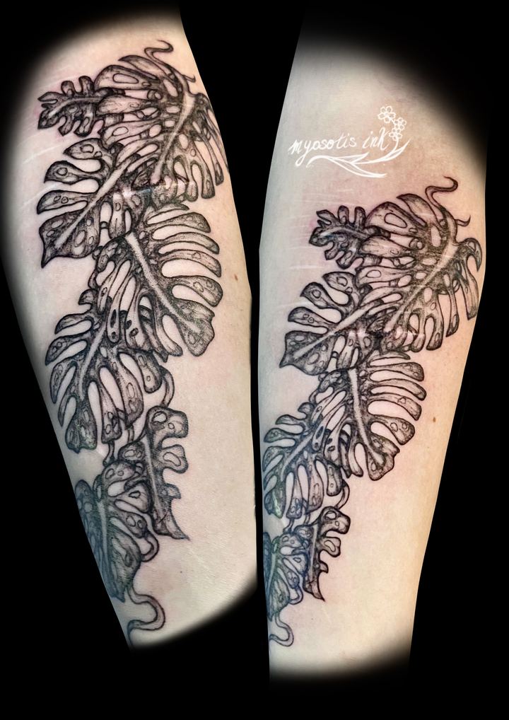 Tattoo von Luca: Monstera-Blätter