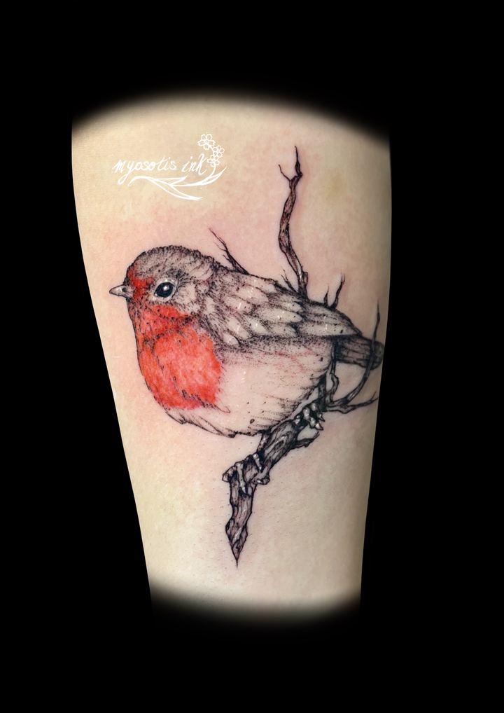 Tattoo von Luca: Rotkehlchen auf einem Zweig