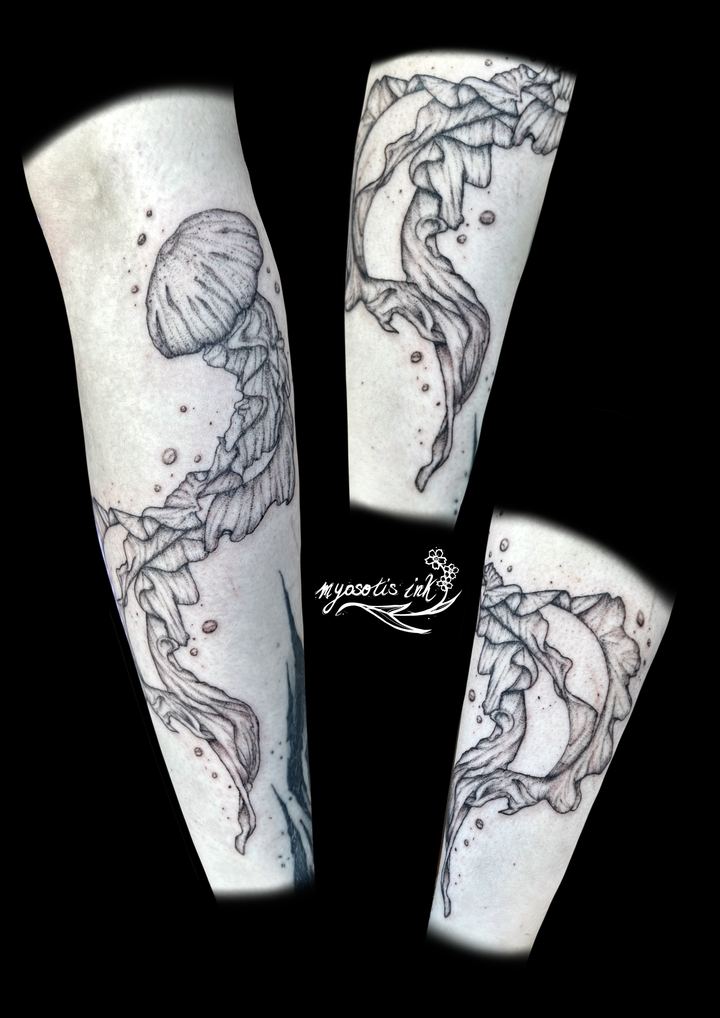 Tattoo von Luca: Quallen
