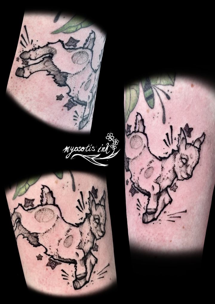 Tattoo von Luca: Kleine Tiermotive